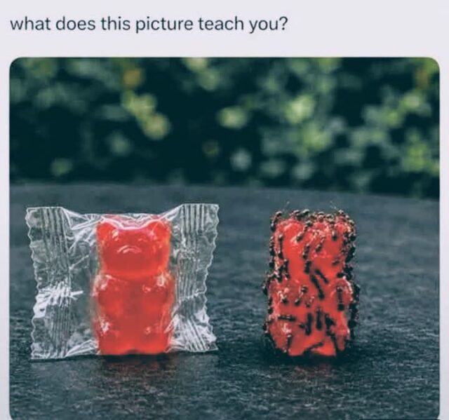 Ants don't know how to open a wrapper?
Obviously they'd go for the one that takes less work.