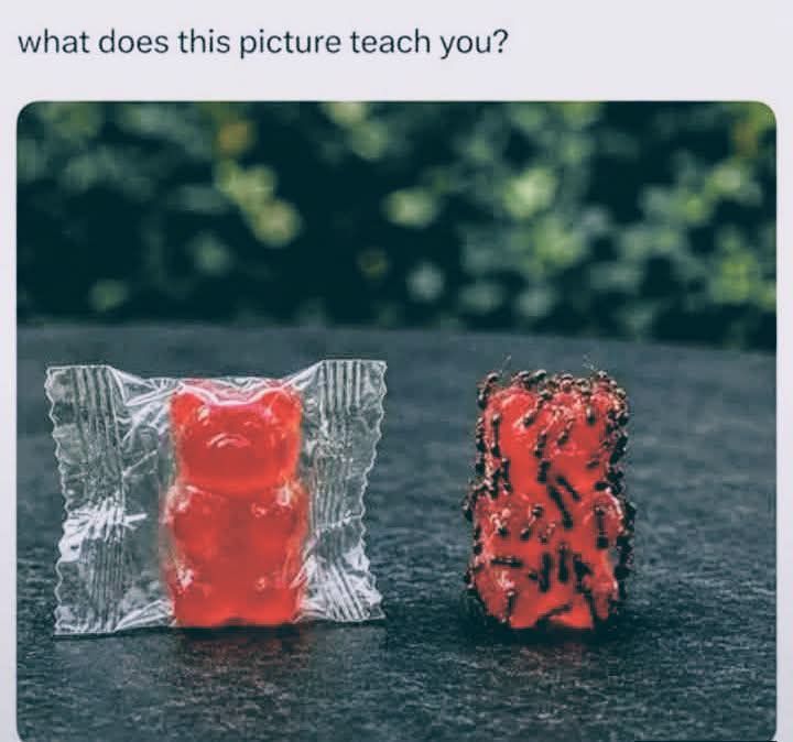 Ants don't know how to open a wrapper?
Obviously they'd go for the one that takes less work.